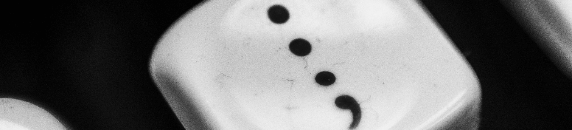 podpičje, dvopičje, pravilna uporaba, ločila, ločilo, stično, nestično