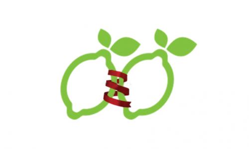 Dvojina v slovenščini